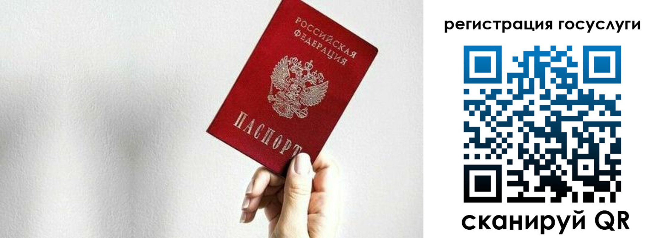 прописка гарантия в Кувшиново